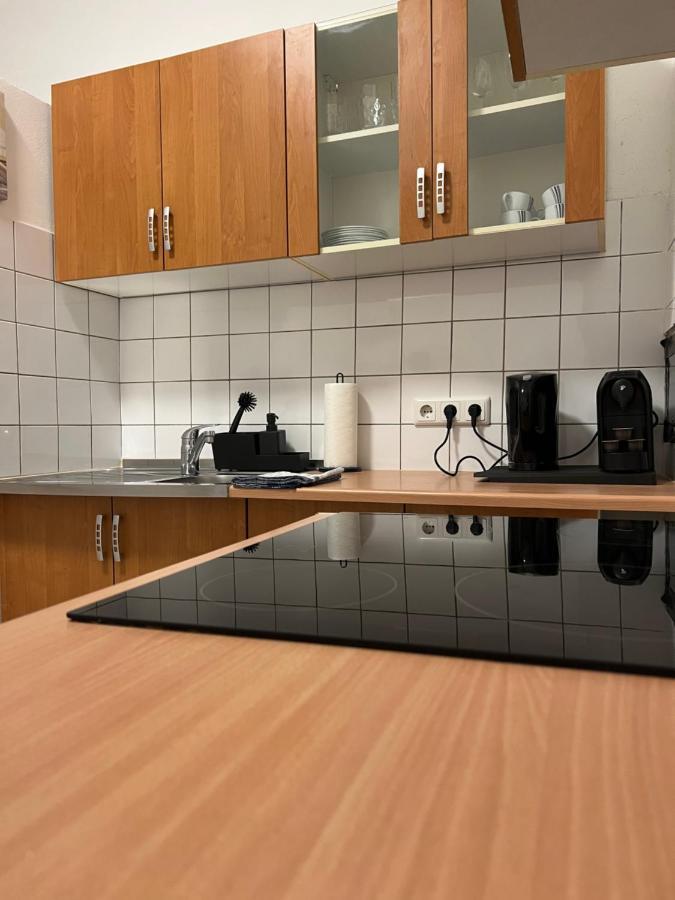 Spacious & Deluxe Big Near Prater * Viena